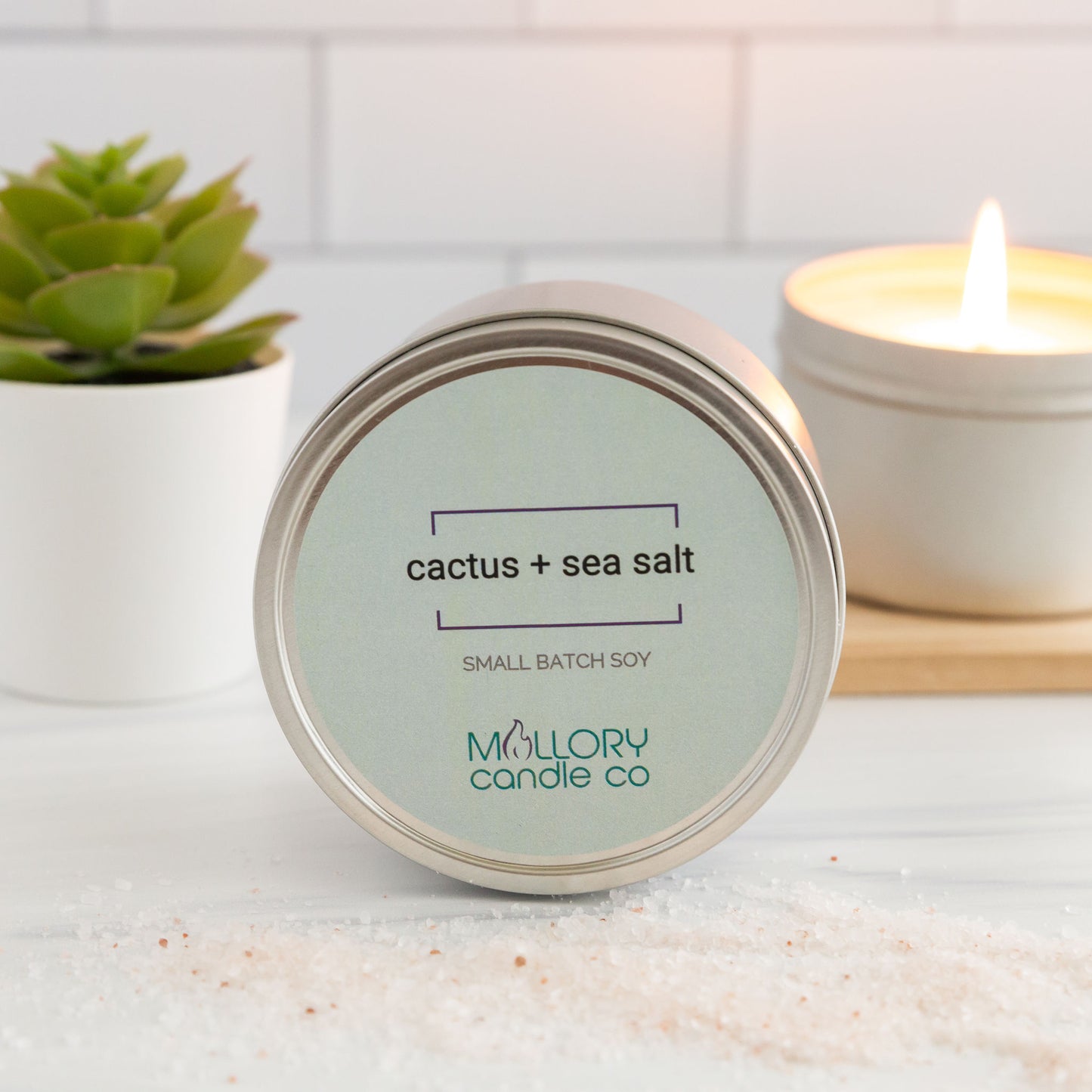 Cactus + Sea Salt Candle, Large Tin